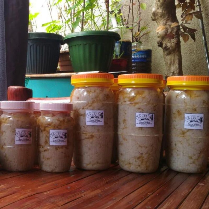 Burong Isda/Fermented Fish ( Made from Pampanga) Shopee Philippines