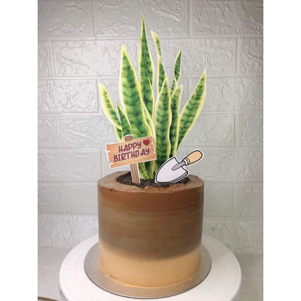 Personalize Cake Topper (plantitas Snake Plant Themed