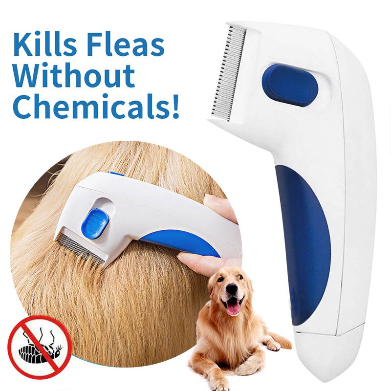 Pet Brush Wire Smart Dog Grooming Comb Wood Set Electric Flea Buy Pet Grooming Dryer Machine