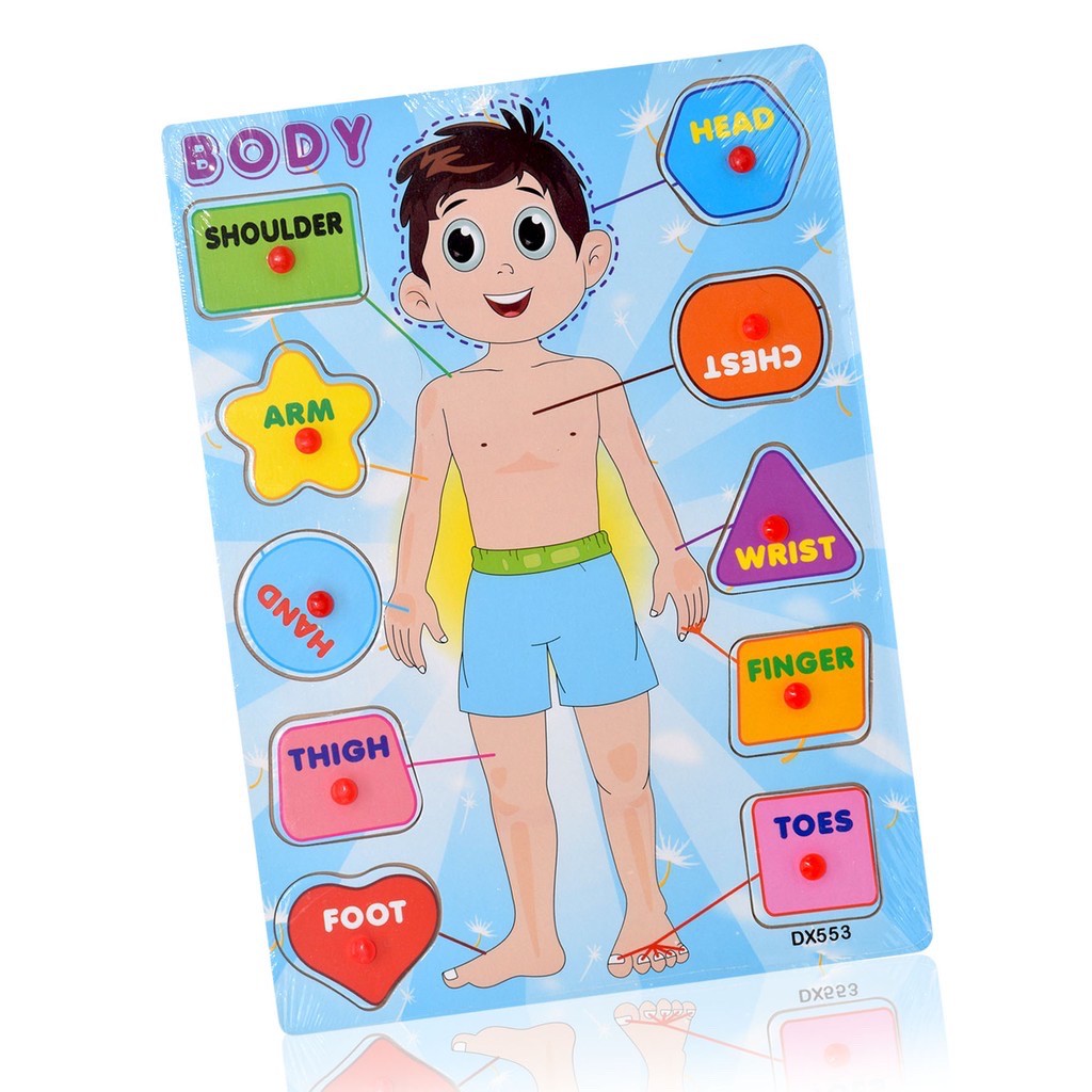 ED shop Wooden Puzzle Peg Body Parts face boy and girl hand foot