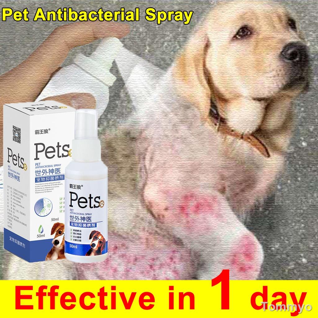 Pet Anti fungal Spray 50ml Dog Skin Disease Treatment Dog Allergies