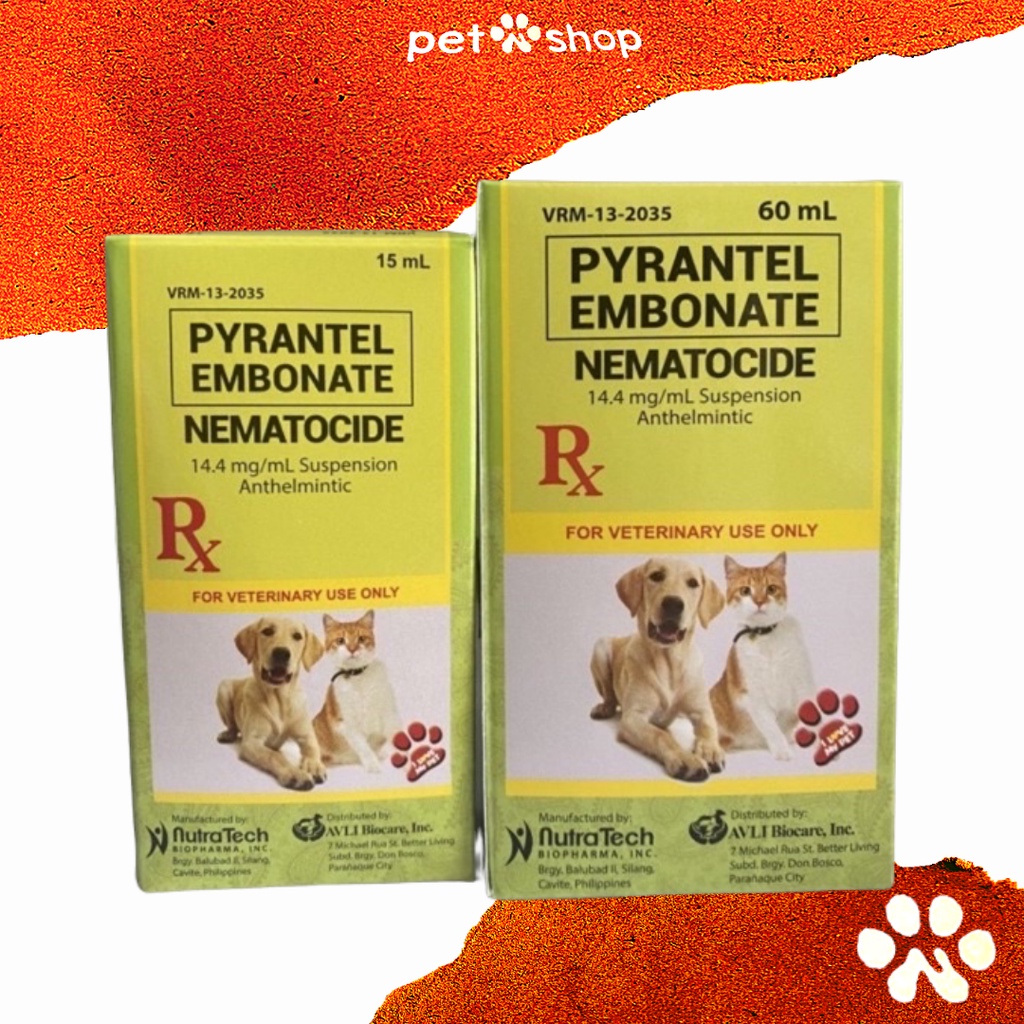 Can Cats Use Dog Dewormer