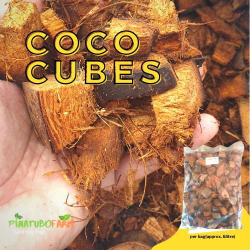 PinaTUBO Farm Coco Cubes for Plants Indoor Outdoor Garden Shopee