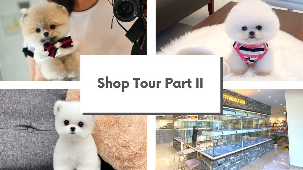 Pretty Bubble Dog Inc, Online Shop Shopee Philippines