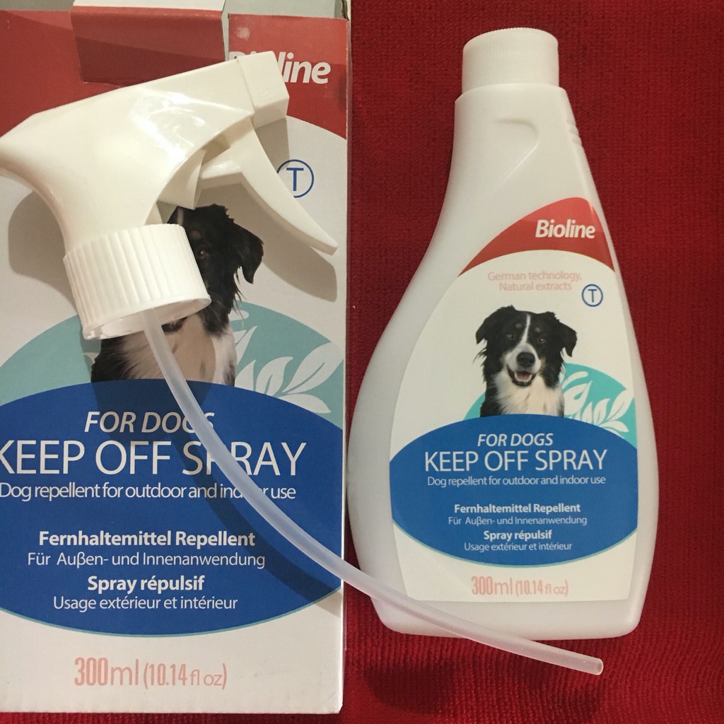 Does Vinegar Keep Dogs Away