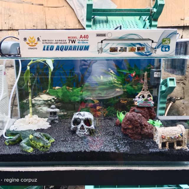 naten toh, Online Shop Shopee Philippines