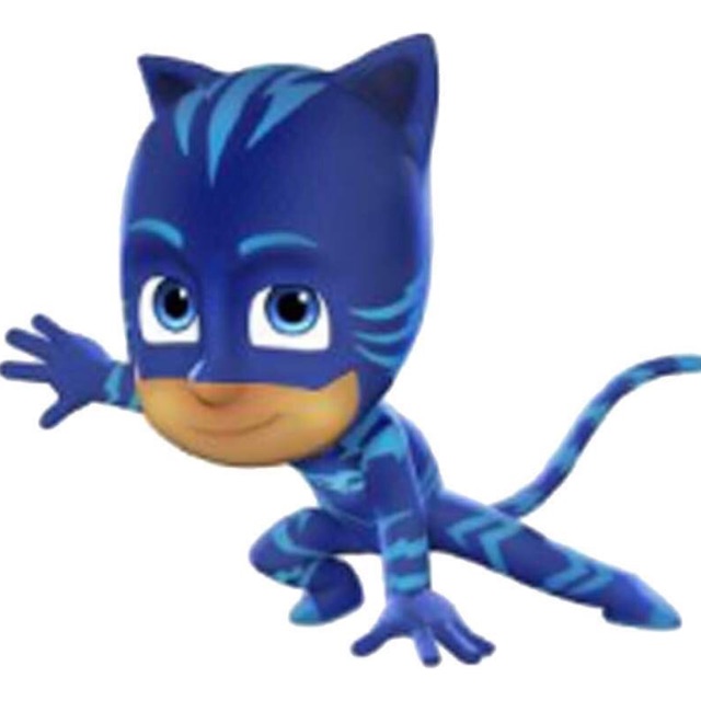 PJ Mask Cat boy costume Shopee Philippines