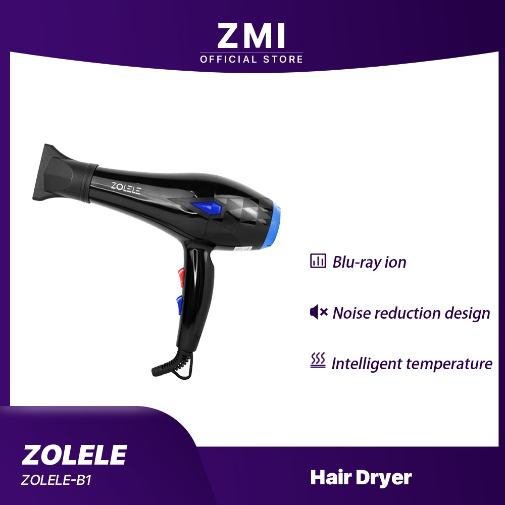 ZOLELE Hair Dryer With Strong Winds Bluray Ion Nourishing Hair Noise