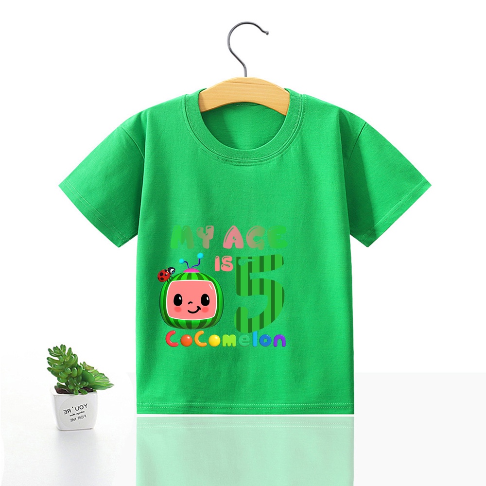 baby Tshirt baby birthday number cotton shirt boy girl