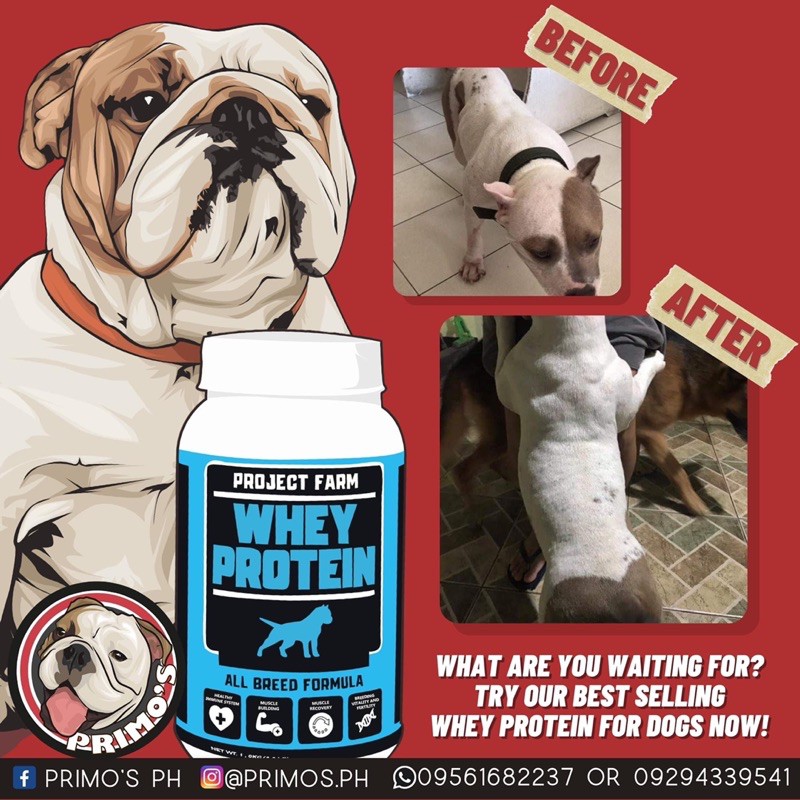 Is Whey Good For Dogs