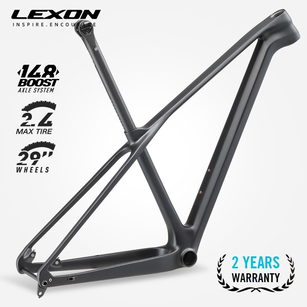 29er Carbon Frame Hardtail atelieryuwa.ciao.jp