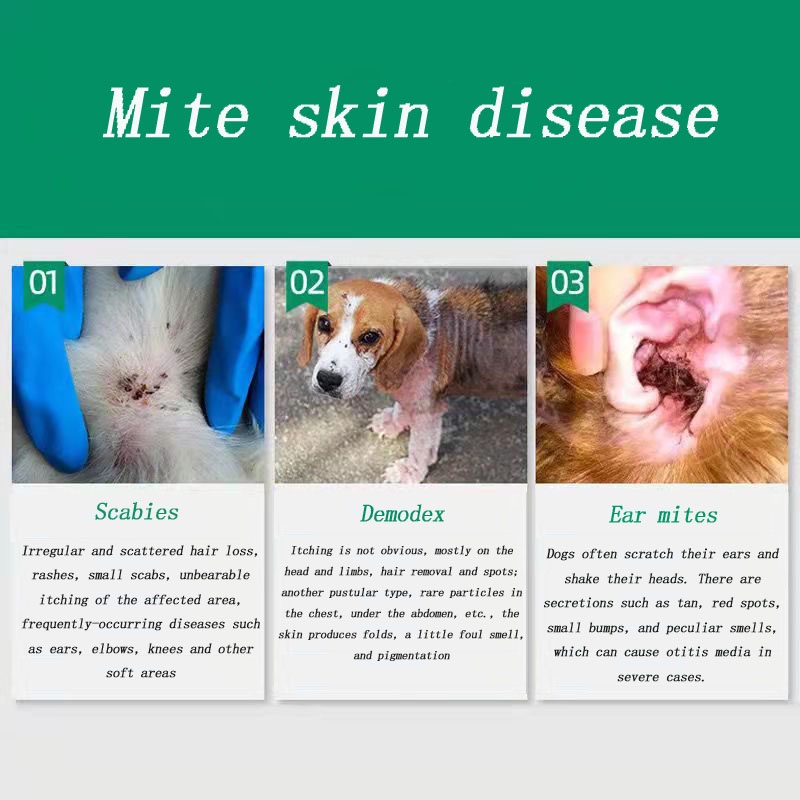 Cure For Dog Skin Disease