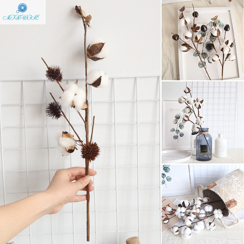 Natural Color Dried Cotton Floral Stems Cotton Flowers for Farmhouse