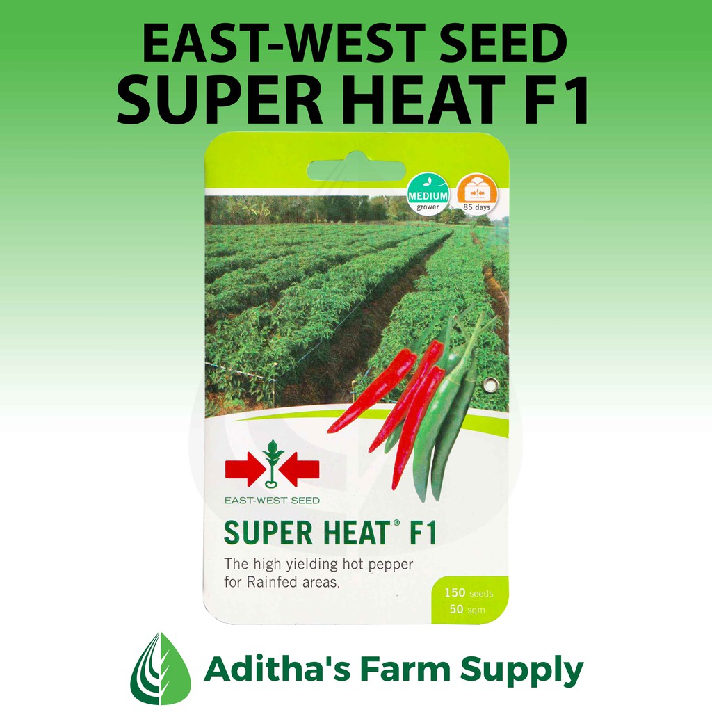 EastWest Seed Super Heat F1 (Chili Pepper) 150 seeds min. Shopee