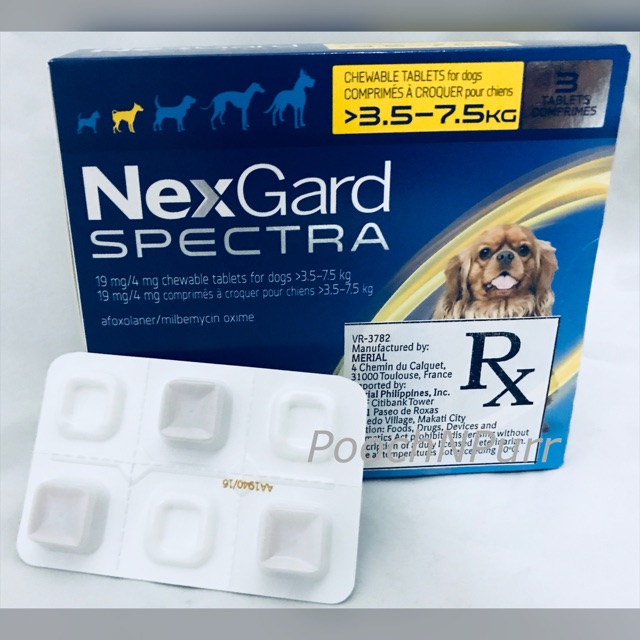 √ Télécharger l'image nexgard spectra chat 269729Nexgard spectra pour chat