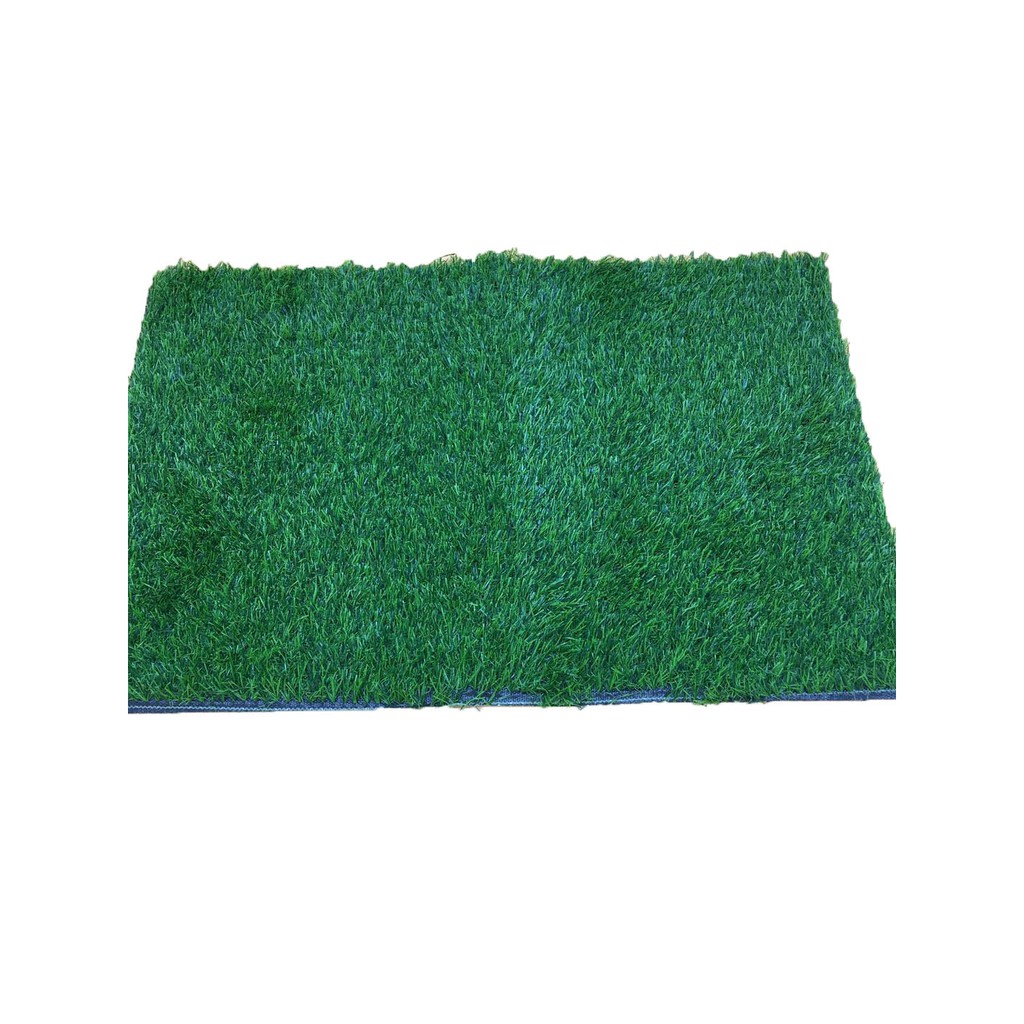 Door Mat Grass 40 X 60cm (P8786) Shopee Philippines