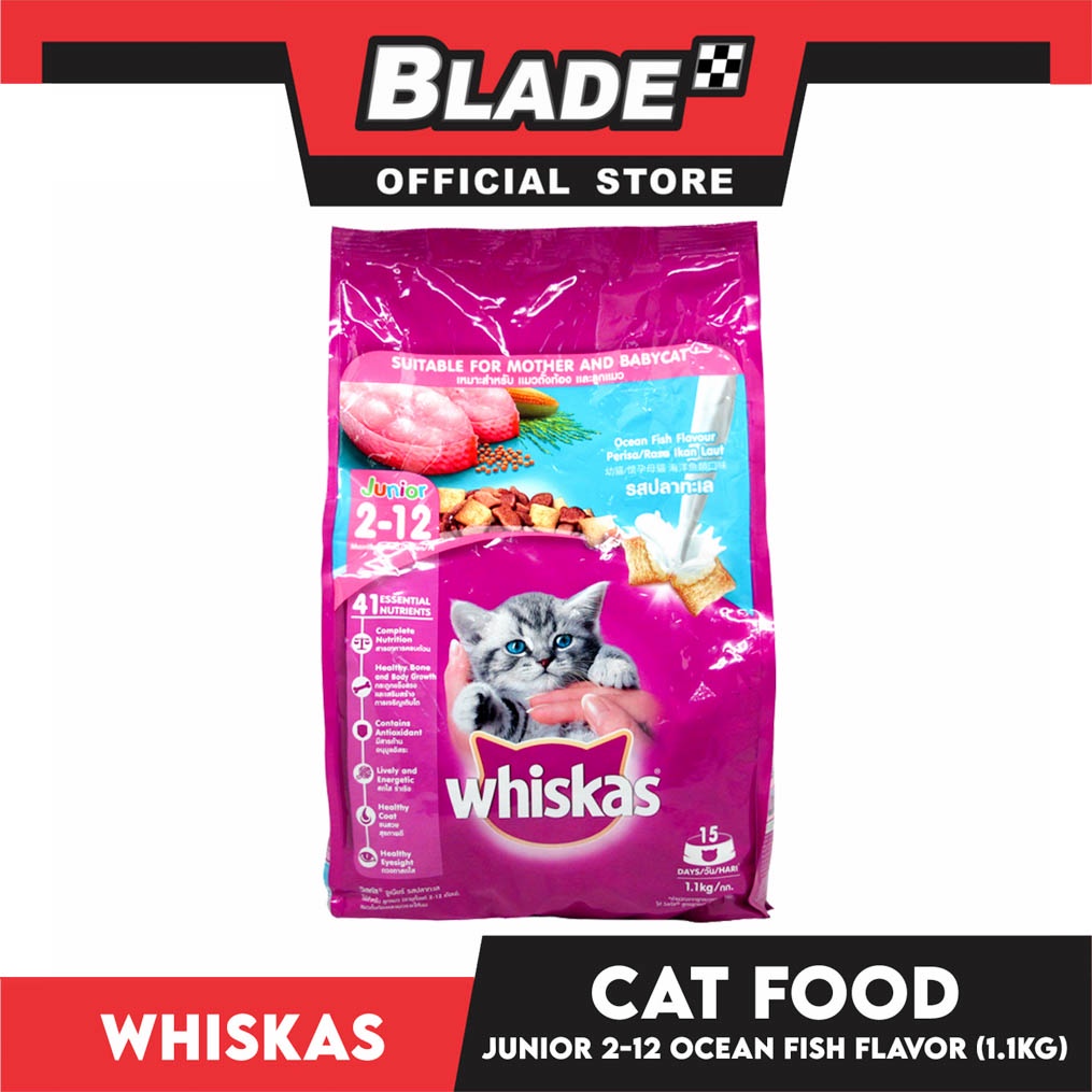 Whiskas Cat Food Dry Junior Ocean Fish Flavour With Milk 1.1kg Shopee