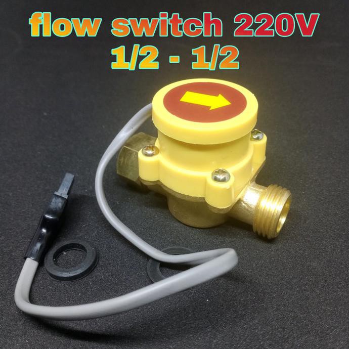Flow Switch 1/2" 1/2" Automatic Water Pump Switch Shopee Philippines