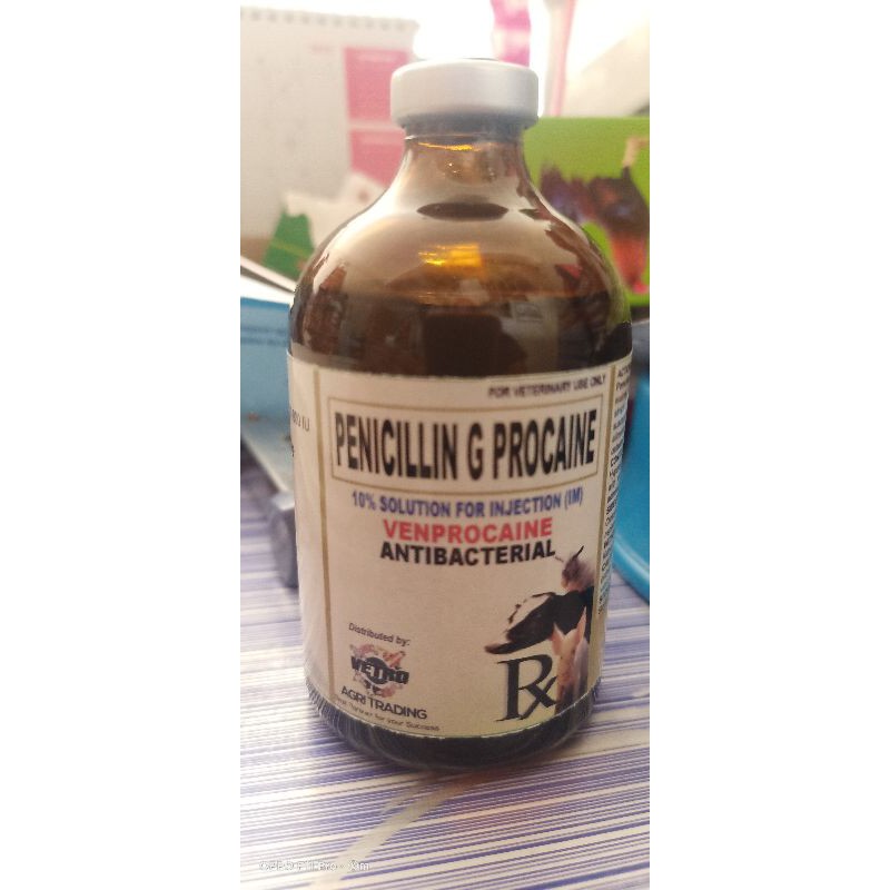 PENICILLIN G PROCAINE 100ML/FOR ANIMALS/( Safe Ang Alaga Mo Dito