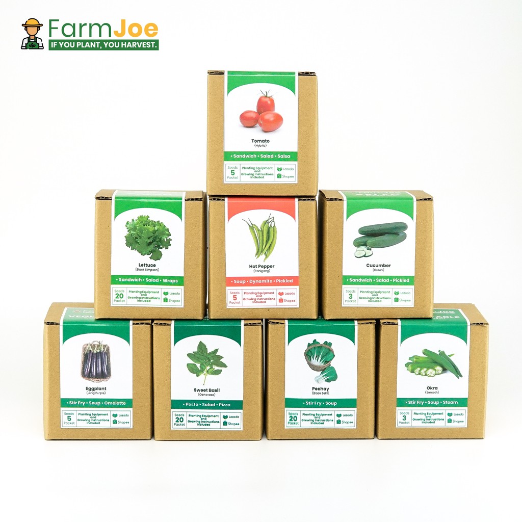 SEED STARTING KIT for First Time Gardeners Grow Kit Seedling Kit