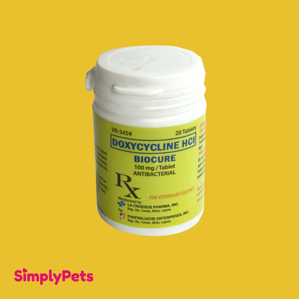 What Is In Cough Tabs For Dogs