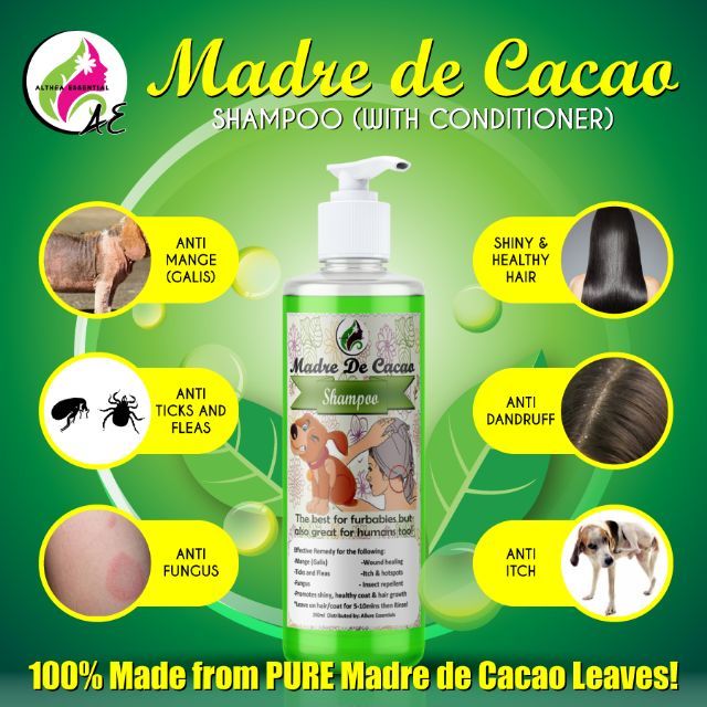 AE Madre de Cacao Shampoo Conditioner Anti Lice and Dandruff Human and