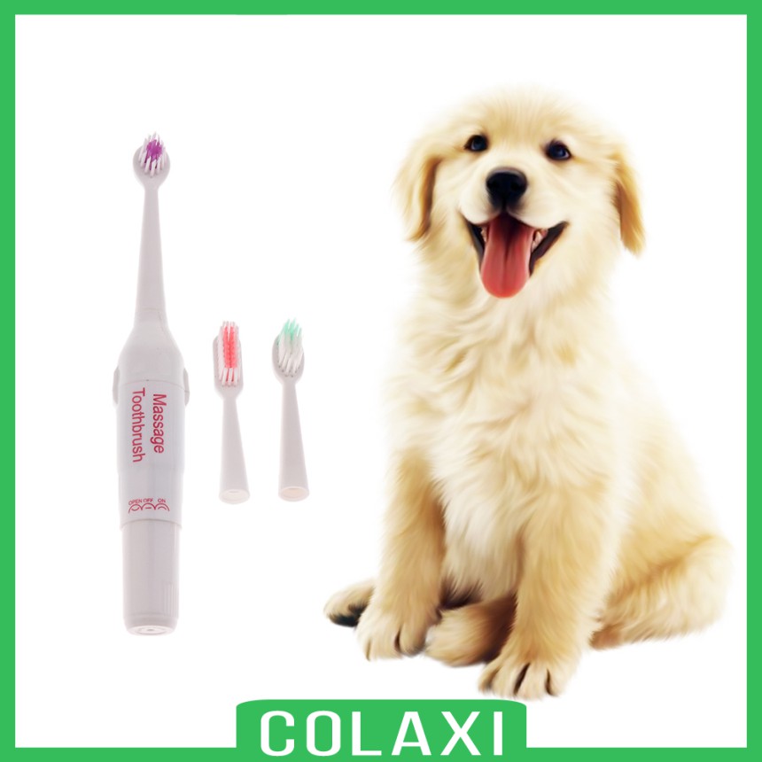 Can You Use Electric Toothbrush On Dog
