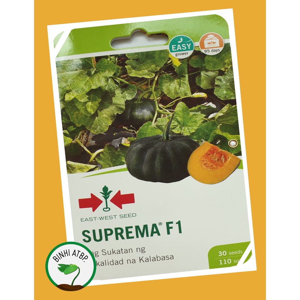 Eastwest Suprema F1 Squash Seed (1 Pack 30 Seeds) Shopee Philippines