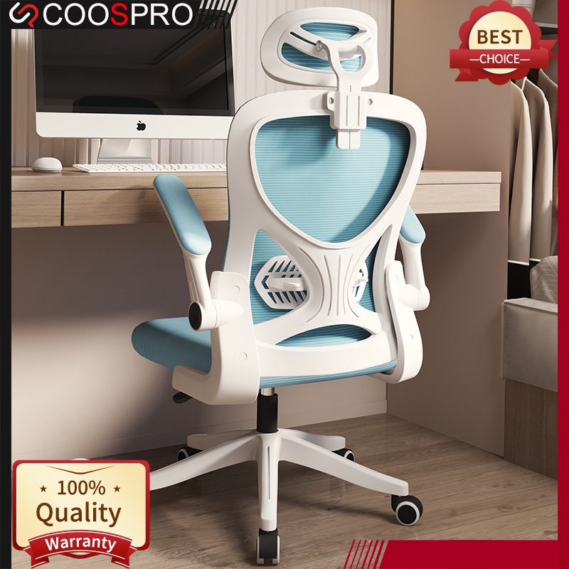 Coospro Office Chair with Arm Rest Computer Chair Ergonomic chair