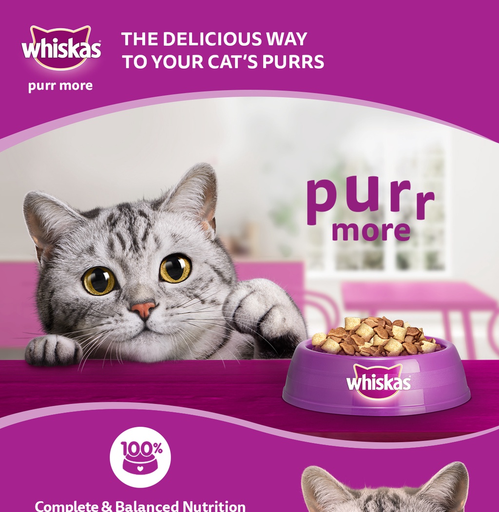 WHISKAS Junior Dry Kitten Food Ocean Fish Flavor with Milk, 450g. Pet