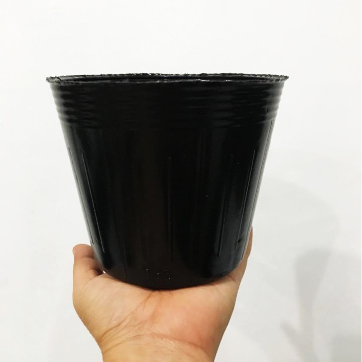 Black plastic pots (13.5cm & 15.0cm) 1pc only Shopee Philippines