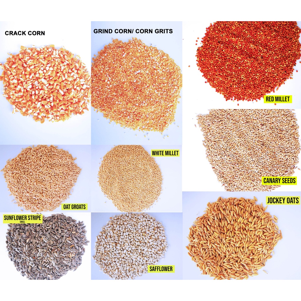 Bird Seeds White Millet, Oat groats , Sun Flower, Saff Flower, Cracked