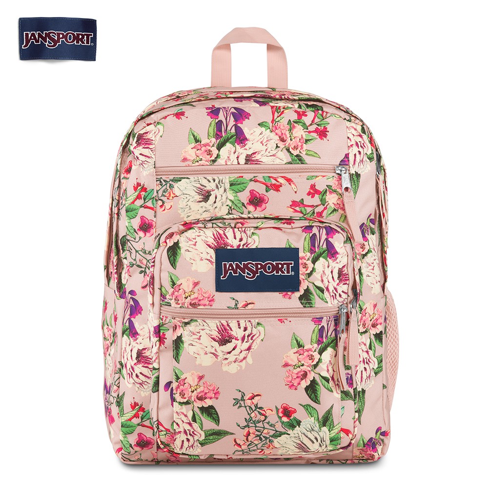 Jansport Backpack Ph Price Literacy Basics