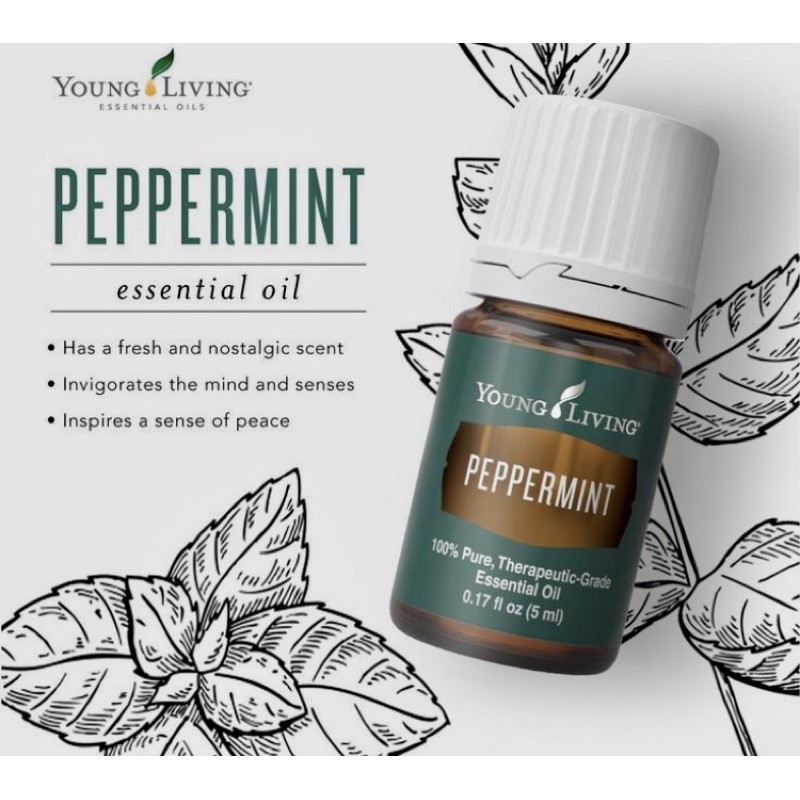 Peppermint Young Living Essential Oil 5ml & 15ml Shopee Philippines