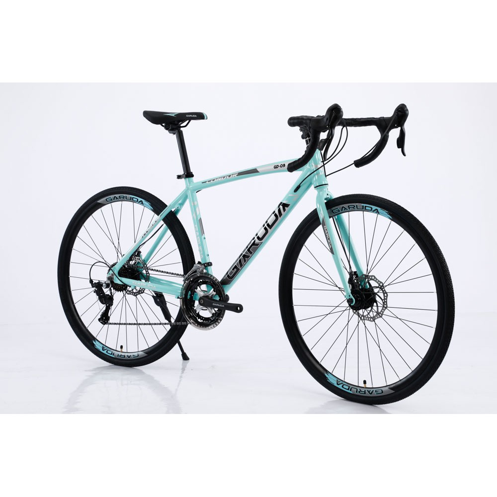 Garuda Condor Road bike Gravel bike Cyclocross bike 16 speed STI