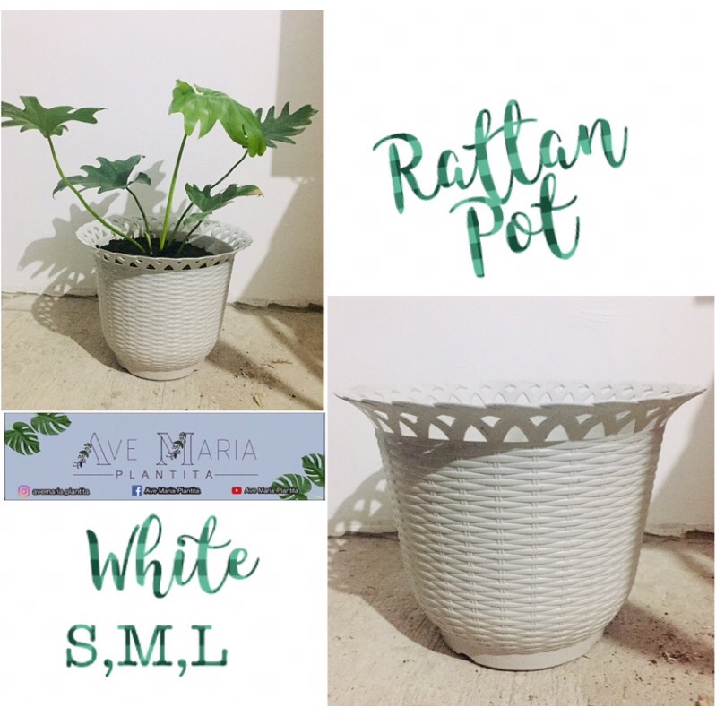 3pcs White Rattan Plastic Pot (Small to Large) Shopee Philippines