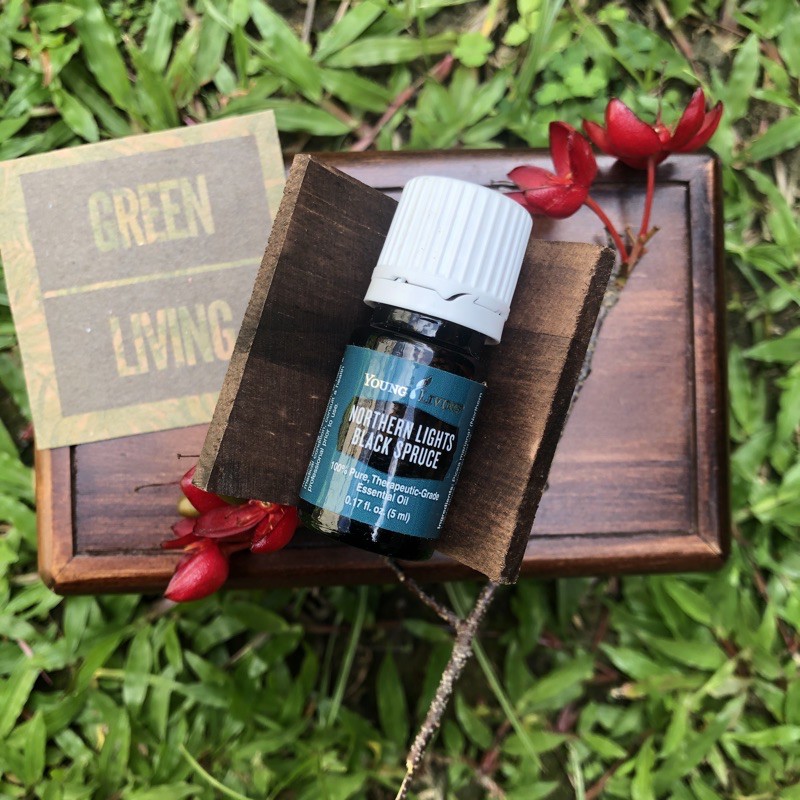 Young Living Northern lights black spruce 5ml Shopee Philippines
