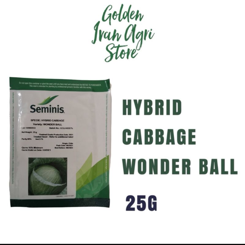 Wonder Ball ( Cabbage) Shopee Philippines