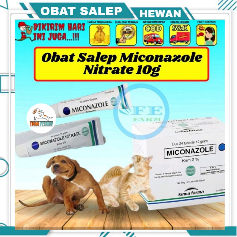 Miconazole Nitrate Animal Ointment 10g Mushroom Wound Infection Non