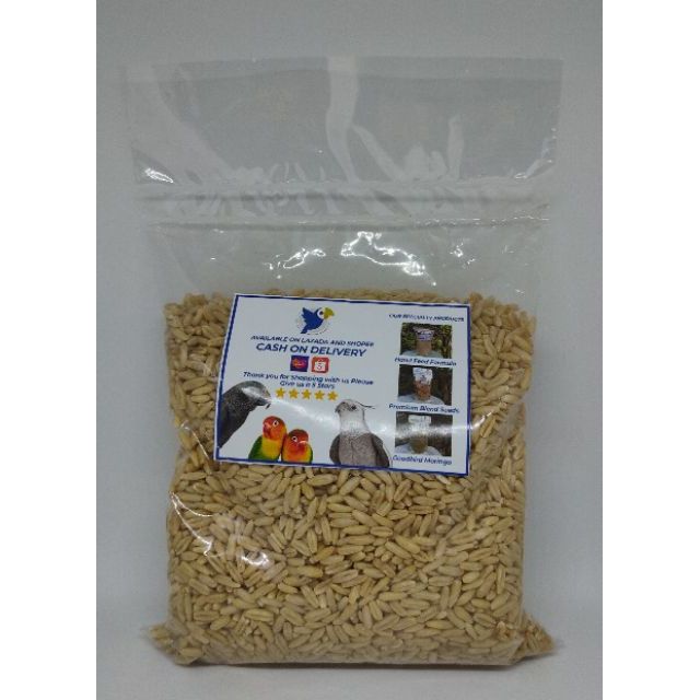 Oat Groats Crop Seeds For Budgies, African Love Birds, Canary