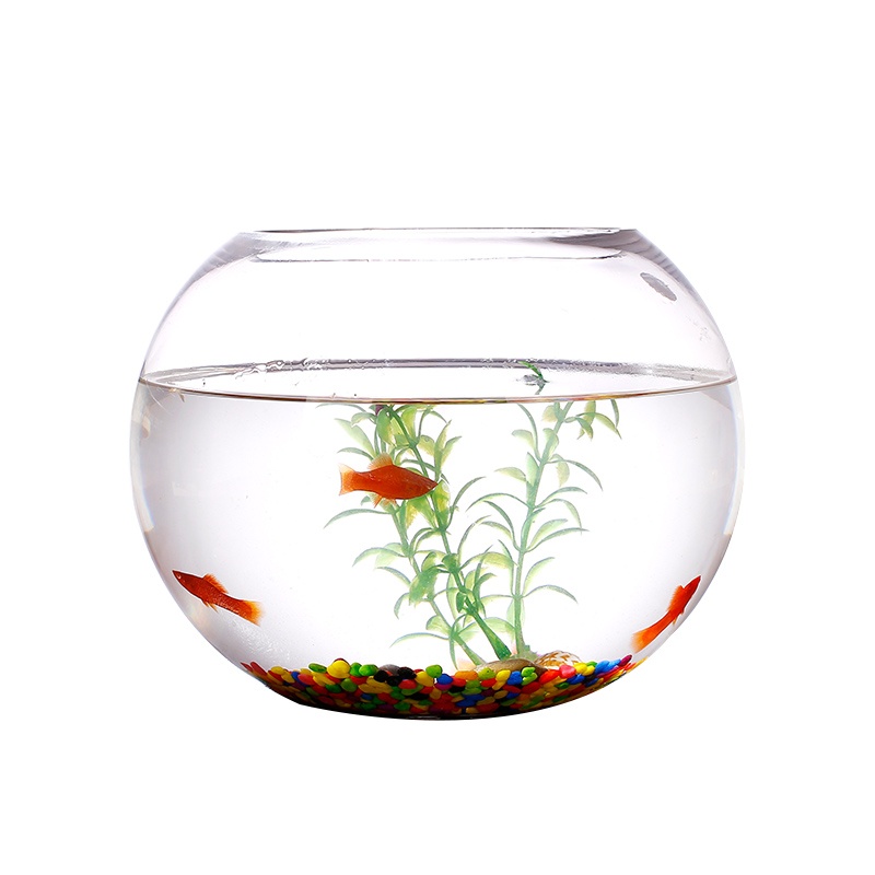 Clear Glass Vase transparent(Fish Bowl 15cm Shopee Philippines