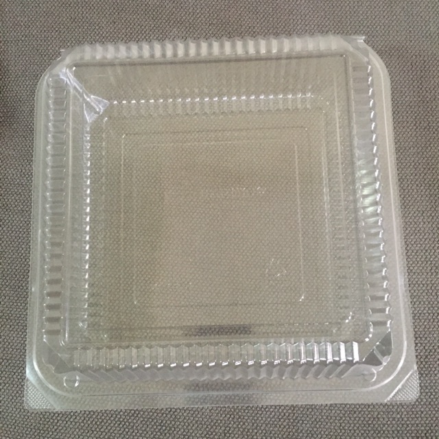 8x8x3” Food Plastic Container with Hinged Lid 10pcs Shopee Philippines
