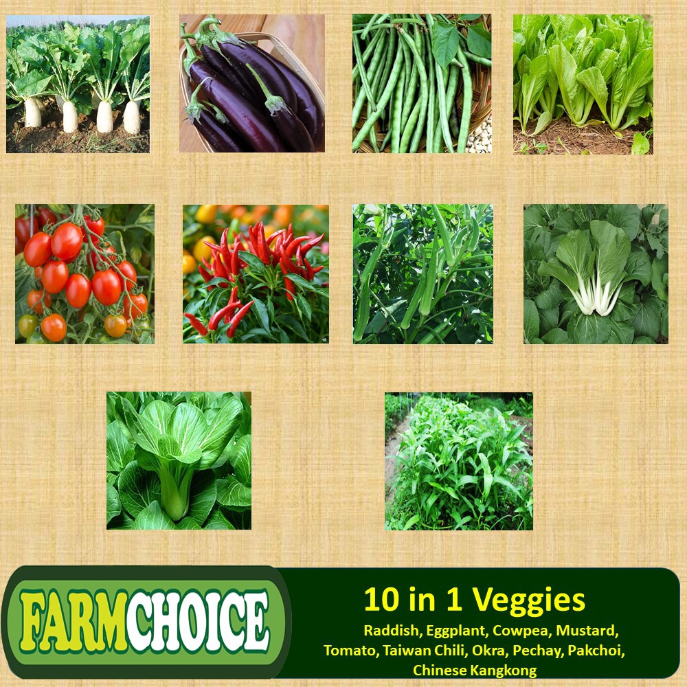 10 in 1 Pack ASSORTED VEGETABLE SEEDS (1,300 seeds) Shopee Philippines