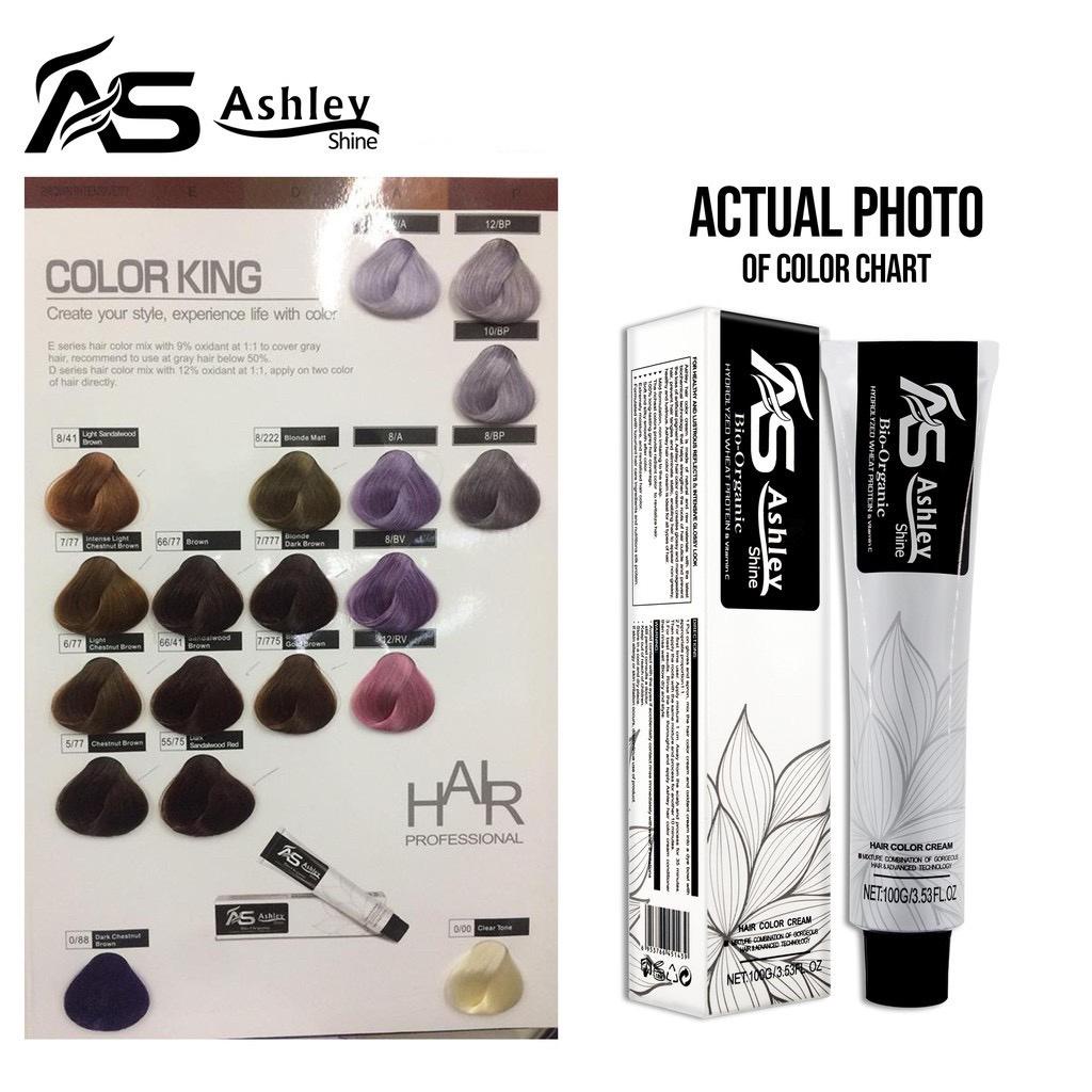 Ashley Shine Hair Color 100ml (SET E) Shopee Philippines