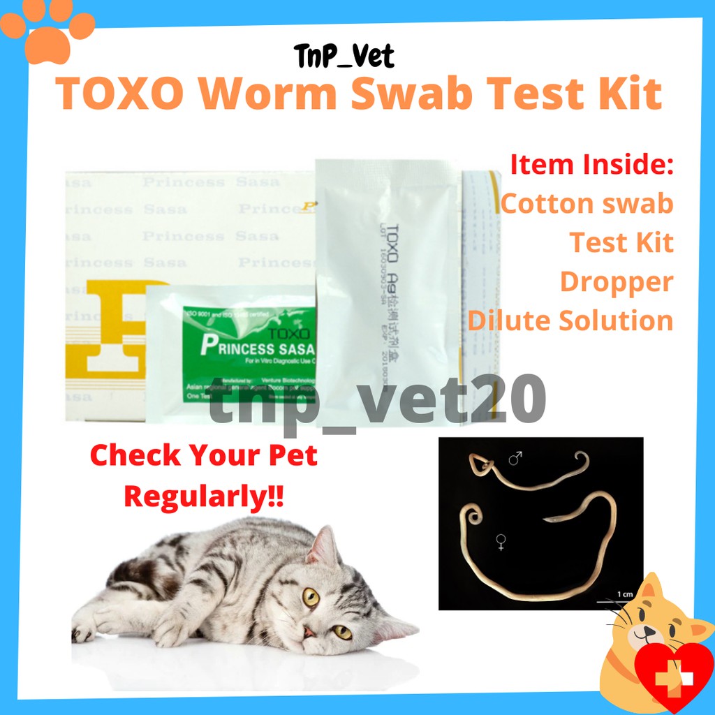 Pet Dog Cat TOXO Worm Test Kit Toxoplasmosis Worm Detection Ujian