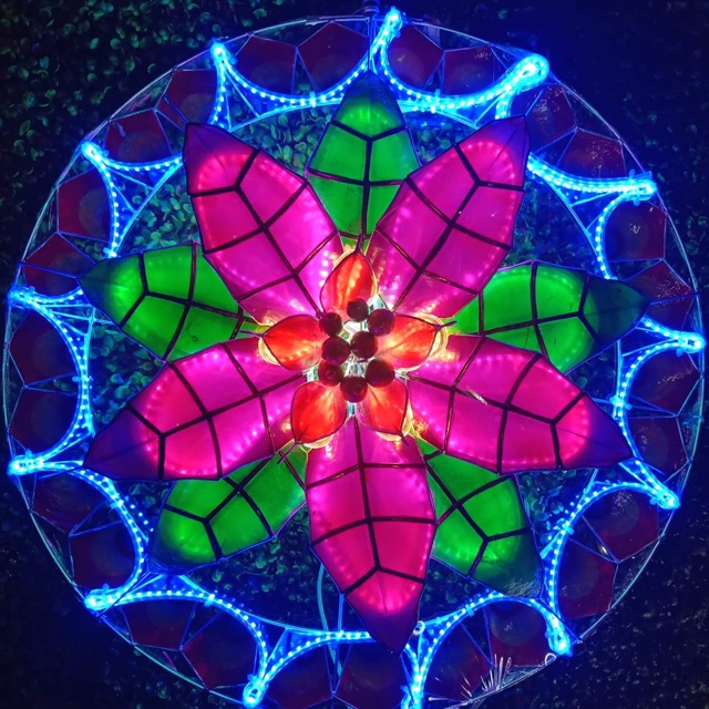 New Christmas lantern parol size 24 Led strip lights poinsettias design