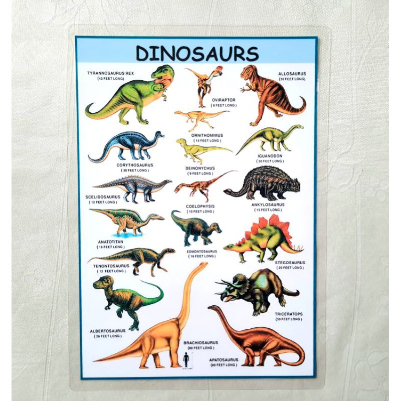 Dinosaur Alphabet Chart, A To Z Dinosaur Names Wall Ubuy Nepal | lupon