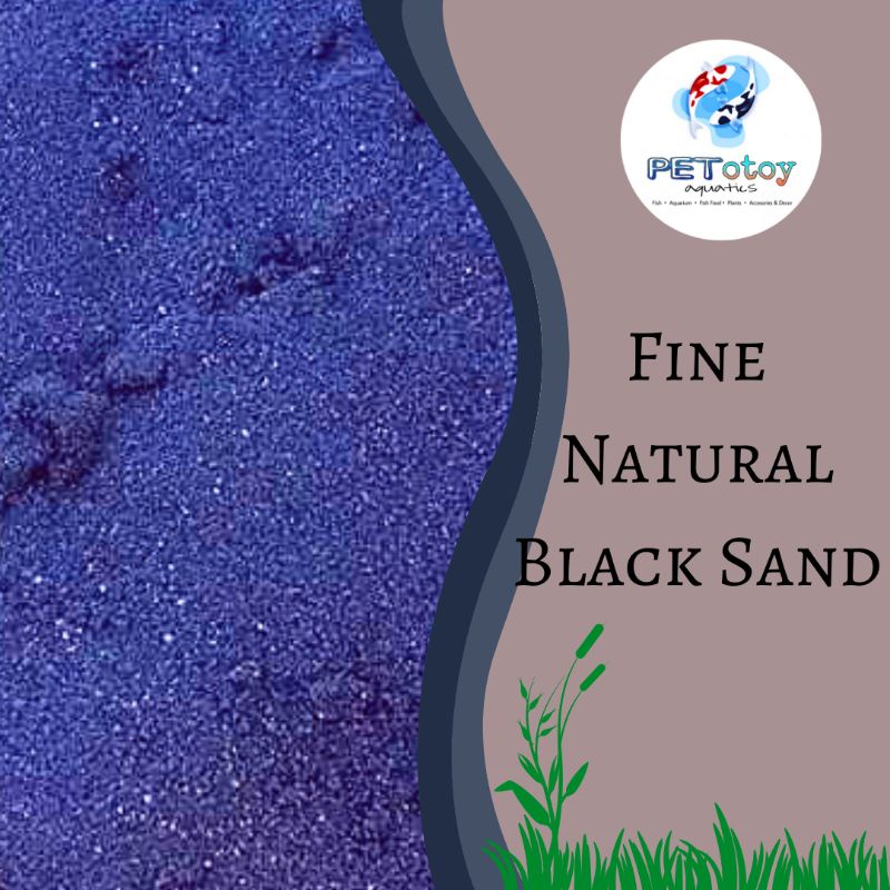 Aquarium Black Sand 1kg Shopee Philippines