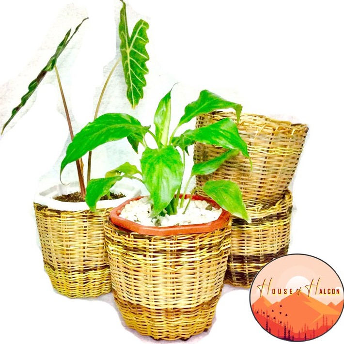 Mindoro Native Wicker Nito Planter Basket (Mangyanmade) Small Size 7