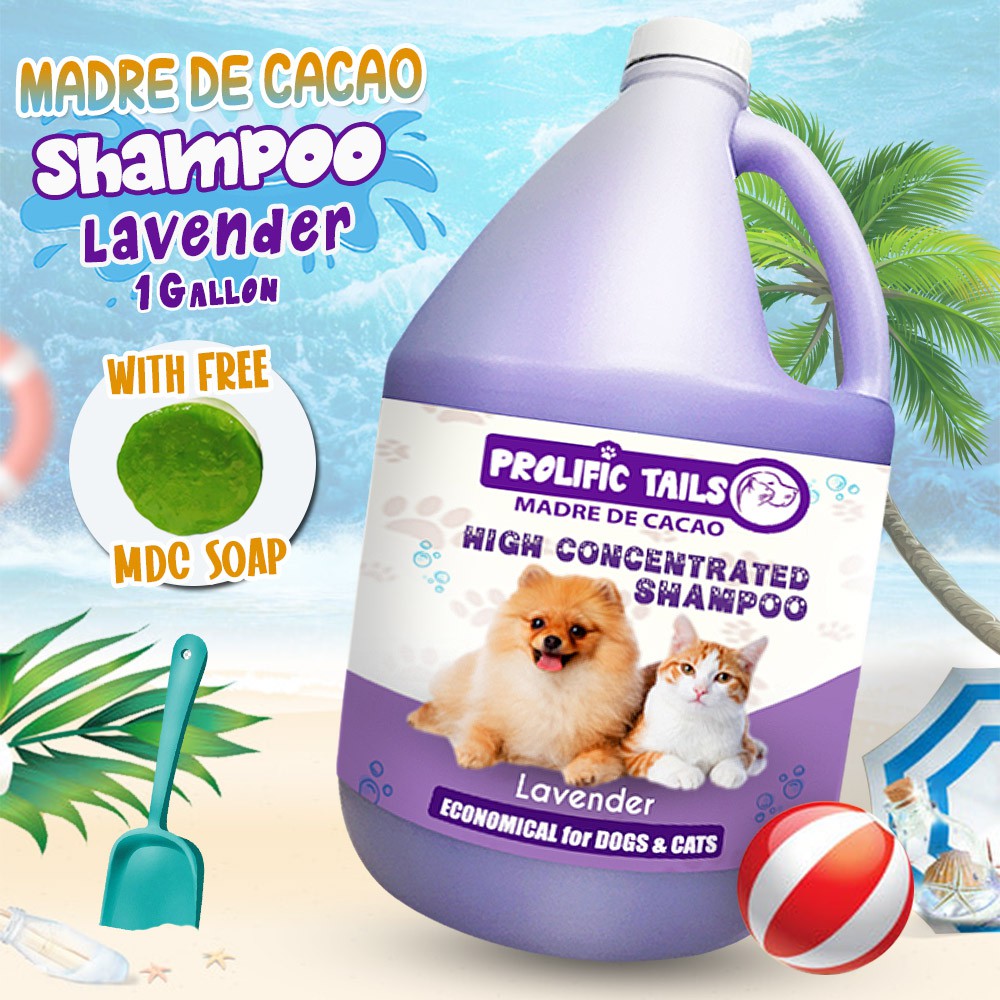 Prolific Tails Madre De Cacao Shampoo 1 Gallon LAVENDER Scent(for Dogs